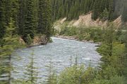143 - Maligne Canyon, Medicine Lake, Maligne Lake - IMG_1230